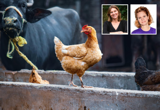 Lezing Wat kunnen we leren van dieren - Marjolein de Rooij en Lindertje Mans