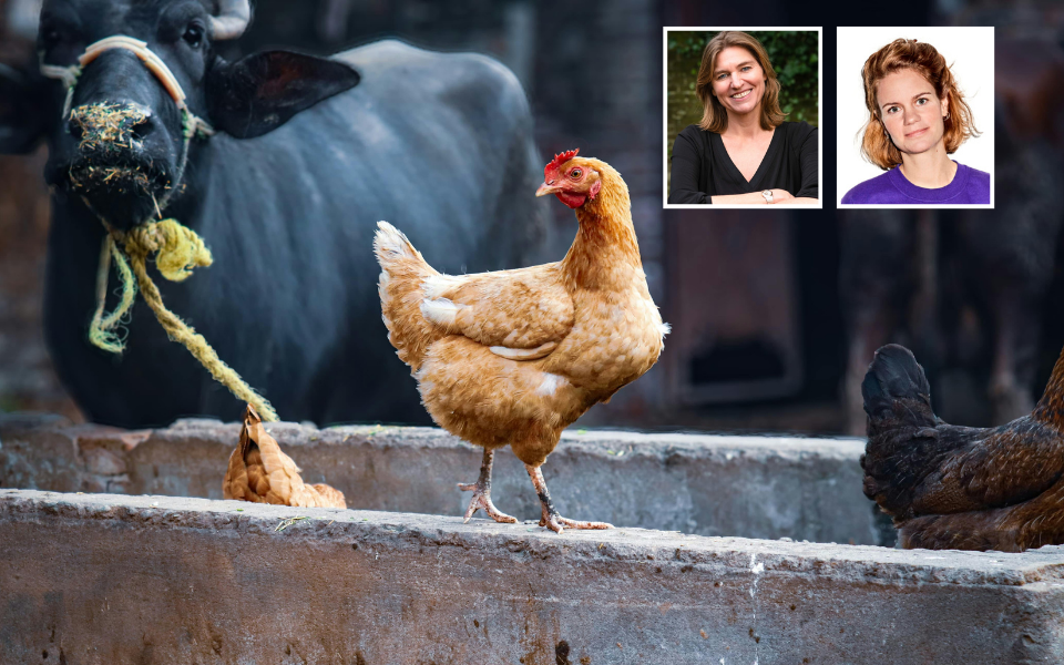 Lezing Wat kunnen we leren van dieren - Marjolein de Rooij en Lindertje Mans